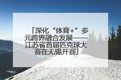 深化“体育+”多元跨界融合发展——江苏省首届匹克球大赛在无锡开赛