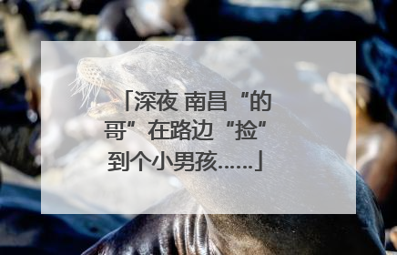 深夜 南昌“的哥”在路边“捡”到个小男孩……