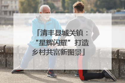 清丰县城关镇：“星辉闪耀”打造乡村共富新图景