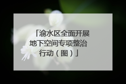 渝水区全面开展地下空间专项整治行动（图）
