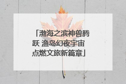 渤海之滨神兽腾跃 渔岛幻夜宇宙点燃文旅新篇章