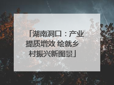 湖南洞口：产业提质增效 绘就乡村振兴新图景