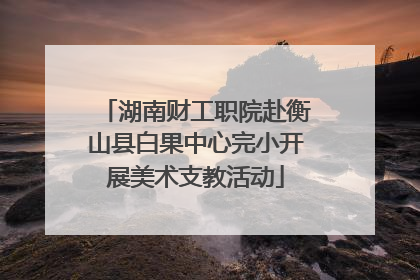 湖南财工职院赴衡山县白果中心完小开展美术支教活动