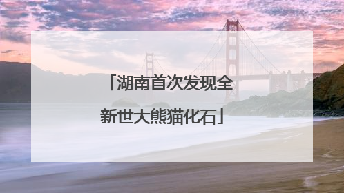 湖南首次发现全新世大熊猫化石