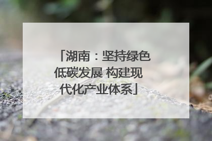 湖南：坚持绿色低碳发展 构建现代化产业体系