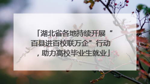 湖北省各地持续开展“百县进百校联万企”行动，助力高校毕业生就业