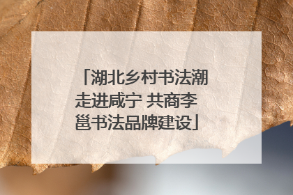 湖北乡村书法潮走进咸宁 共商李邕书法品牌建设