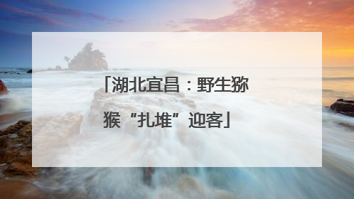 湖北宜昌：野生猕猴“扎堆”迎客