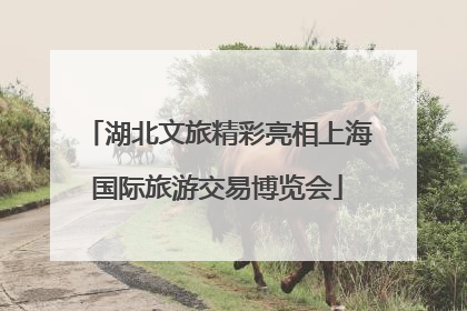 湖北文旅精彩亮相上海国际旅游交易博览会