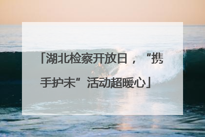 湖北检察开放日，“携手护未”活动超暖心