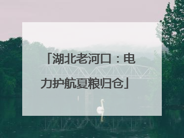 湖北老河口：电力护航夏粮归仓
