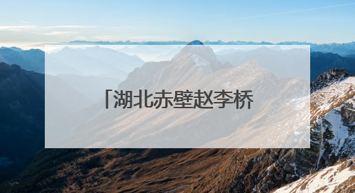 湖北赤壁赵李桥茶业创建民族团结进步示范企业