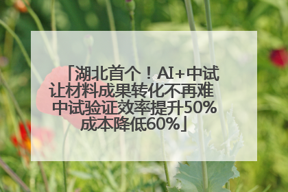 湖北首个！AI+中试让材料成果转化不再难 中试验证效率提升50%成本降低60%