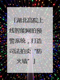 湖北高院上线智能网拍预警系统，打造司法拍卖“防火墙”
