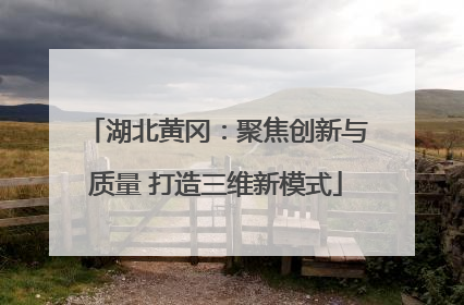 湖北黄冈：聚焦创新与质量 打造三维新模式