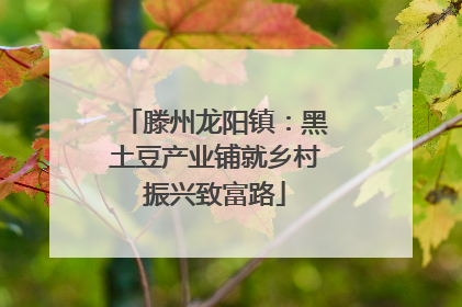 滕州龙阳镇：黑土豆产业铺就乡村振兴致富路