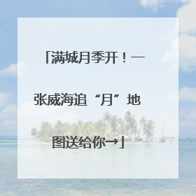 满城月季开！一张威海追“月”地图送给你→