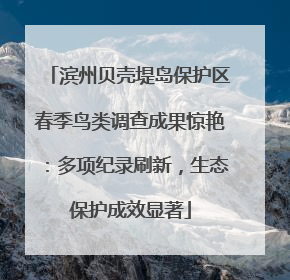 滨州贝壳堤岛保护区春季鸟类调查成果惊艳：多项纪录刷新，生态保护成效显著