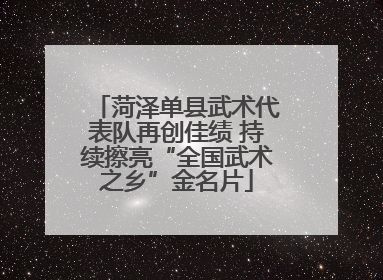 菏泽单县武术代表队再创佳绩 持续擦亮“全国武术之乡”金名片