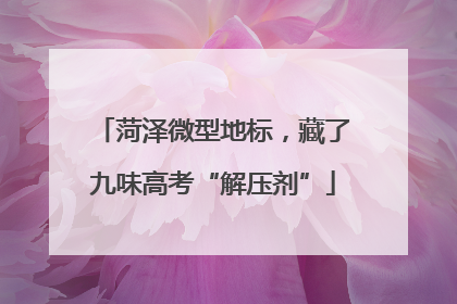 菏泽微型地标，藏了九味高考“解压剂”