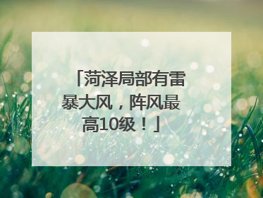 菏泽局部有雷暴大风，阵风最高10级！