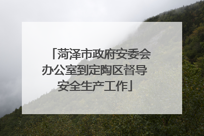 菏泽市政府安委会办公室到定陶区督导安全生产工作