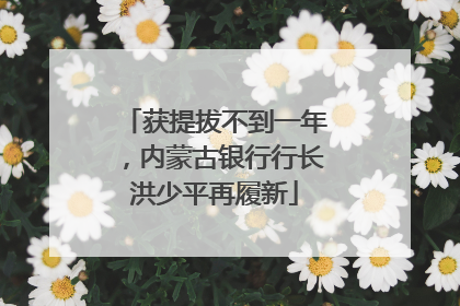 获提拔不到一年，内蒙古银行行长洪少平再履新