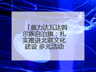 莫力达瓦达斡尔族自治旗：扎实推进北疆文化建设 多元活动点亮群众生活