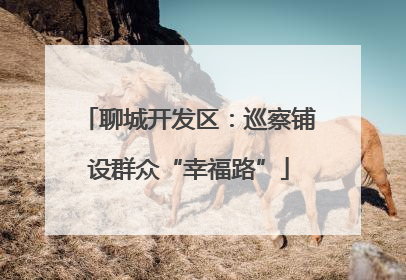 聊城开发区：巡察铺设群众“幸福路”