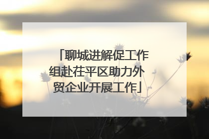 聊城进解促工作组赴茌平区助力外贸企业开展工作