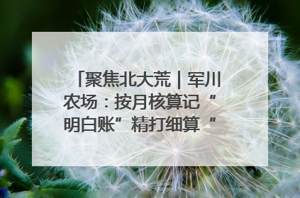 聚焦北大荒｜军川农场：按月核算记“明白账”精打细算“过紧日子”