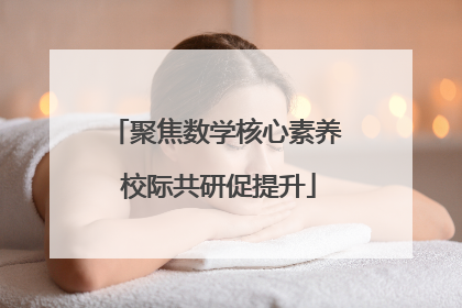 聚焦数学核心素养 校际共研促提升