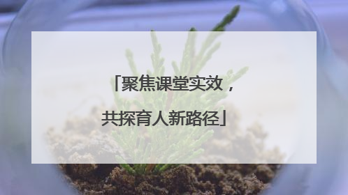 聚焦课堂实效，共探育人新路径