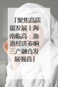 聚焦高质量发展丨海南临高：渔港经济奏响三产融合发展强音