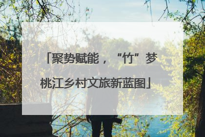 聚势赋能，“竹”梦桃江乡村文旅新蓝图