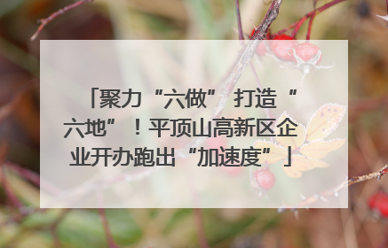 聚力“六做” 打造“六地”！平顶山高新区企业开办跑出“加速度”