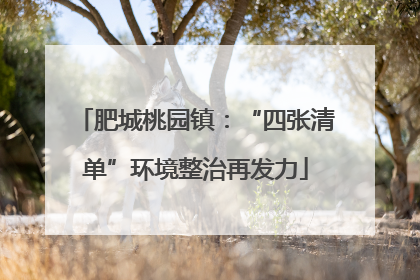 肥城桃园镇：“四张清单”环境整治再发力