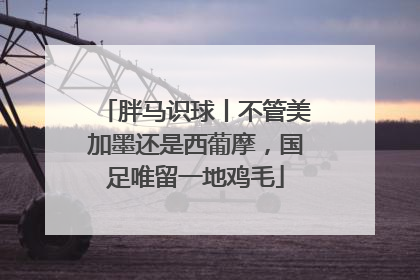 胖马识球丨不管美加墨还是西葡摩，国足唯留一地鸡毛