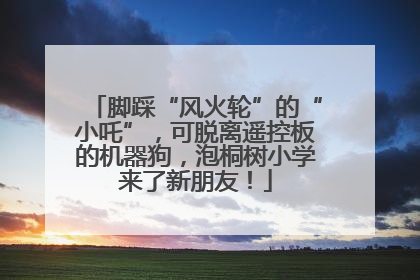 脚踩“风火轮”的“小吒”，可脱离遥控板的机器狗，泡桐树小学来了新朋友！