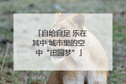 自给自足 乐在其中 城市里的空中“田园梦”