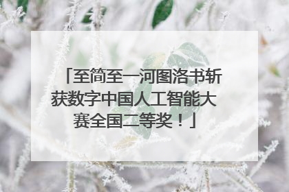至简至一河图洛书斩获数字中国人工智能大赛全国二等奖！