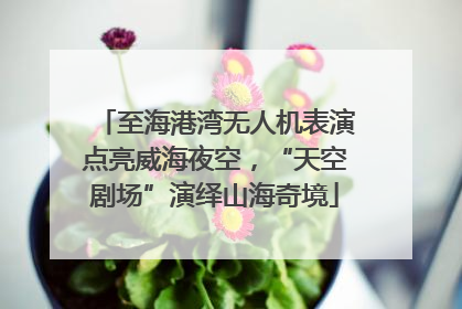 至海港湾无人机表演点亮威海夜空，“天空剧场”演绎山海奇境