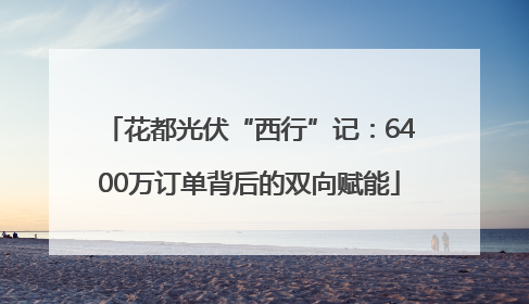 花都光伏“西行”记：6400万订单背后的双向赋能