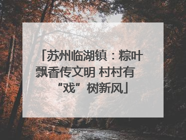 苏州临湖镇：粽叶飘香传文明 村村有“戏”树新风