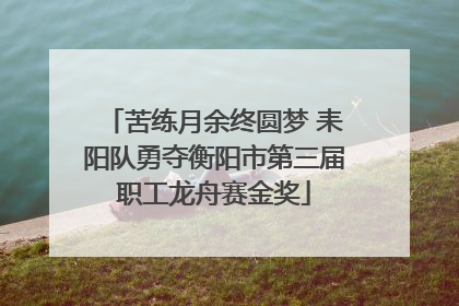 苦练月余终圆梦 耒阳队勇夺衡阳市第三届职工龙舟赛金奖