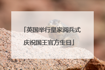 英国举行皇家阅兵式庆祝国王官方生日