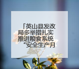 英山县发改局多举措扎实推进粮食系统“安全生产月”活动