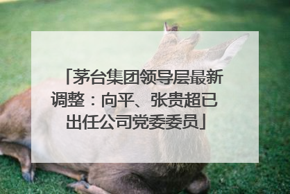 茅台集团领导层最新调整：向平、张贵超已出任公司党委委员