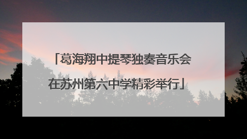 葛海翔中提琴独奏音乐会在苏州第六中学精彩举行