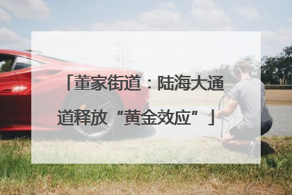 董家街道：陆海大通道释放“黄金效应”